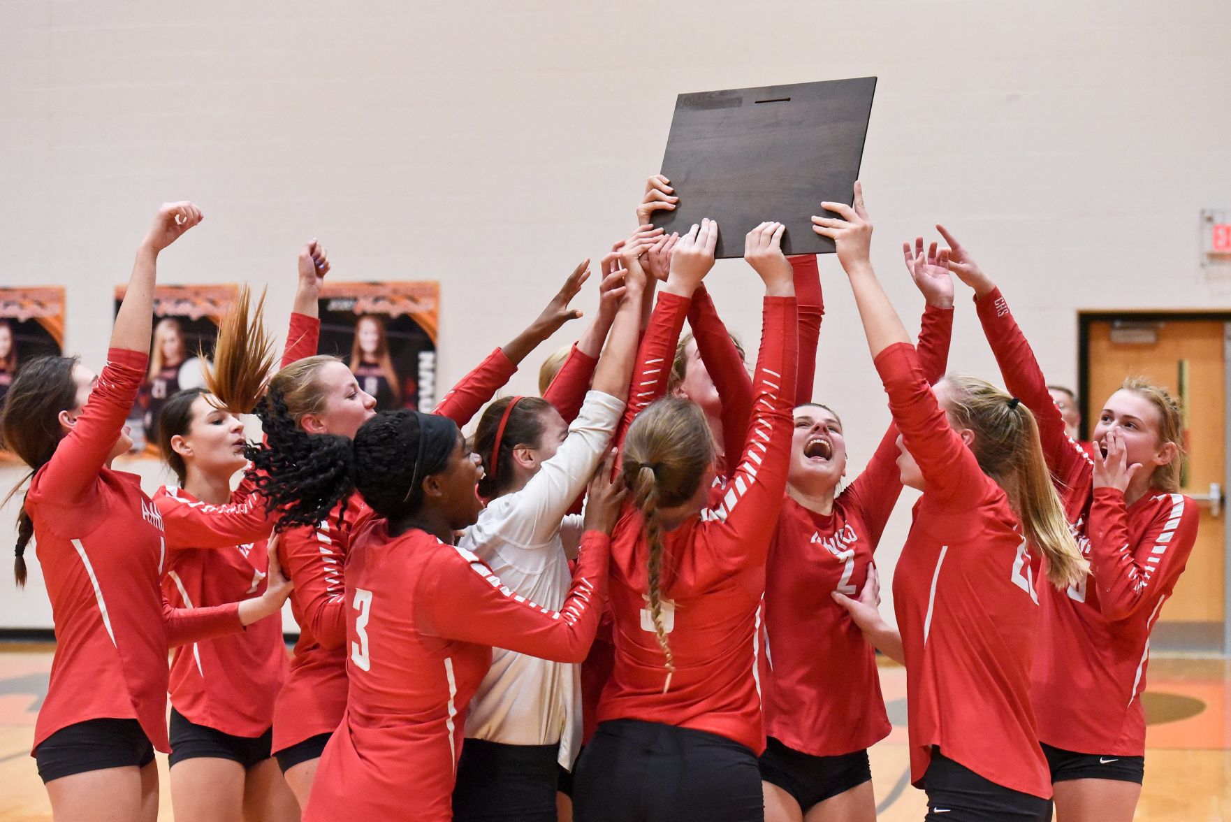 11/06/19 - Girls Volleyball - Illinois Sectional Final -Centralia vs Waterloo
